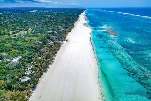 Watamu vs. Malindi vs. Kilifi: Which Coastal Kenya Town is Your Ideal Investment?