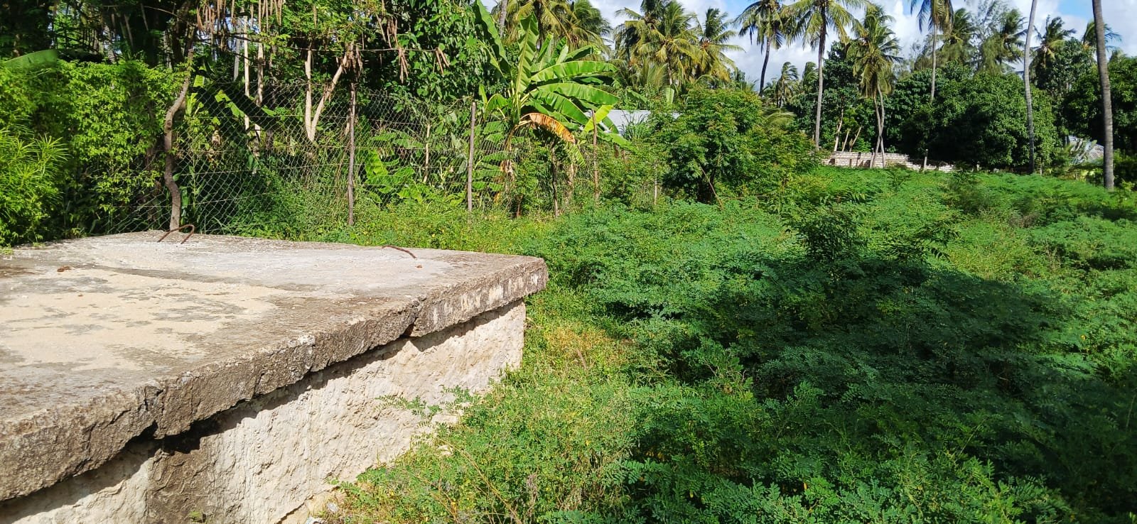 Prime 0.42-Acre Investment Land for Sale in Kijiwetanga, Malindi - property image 3