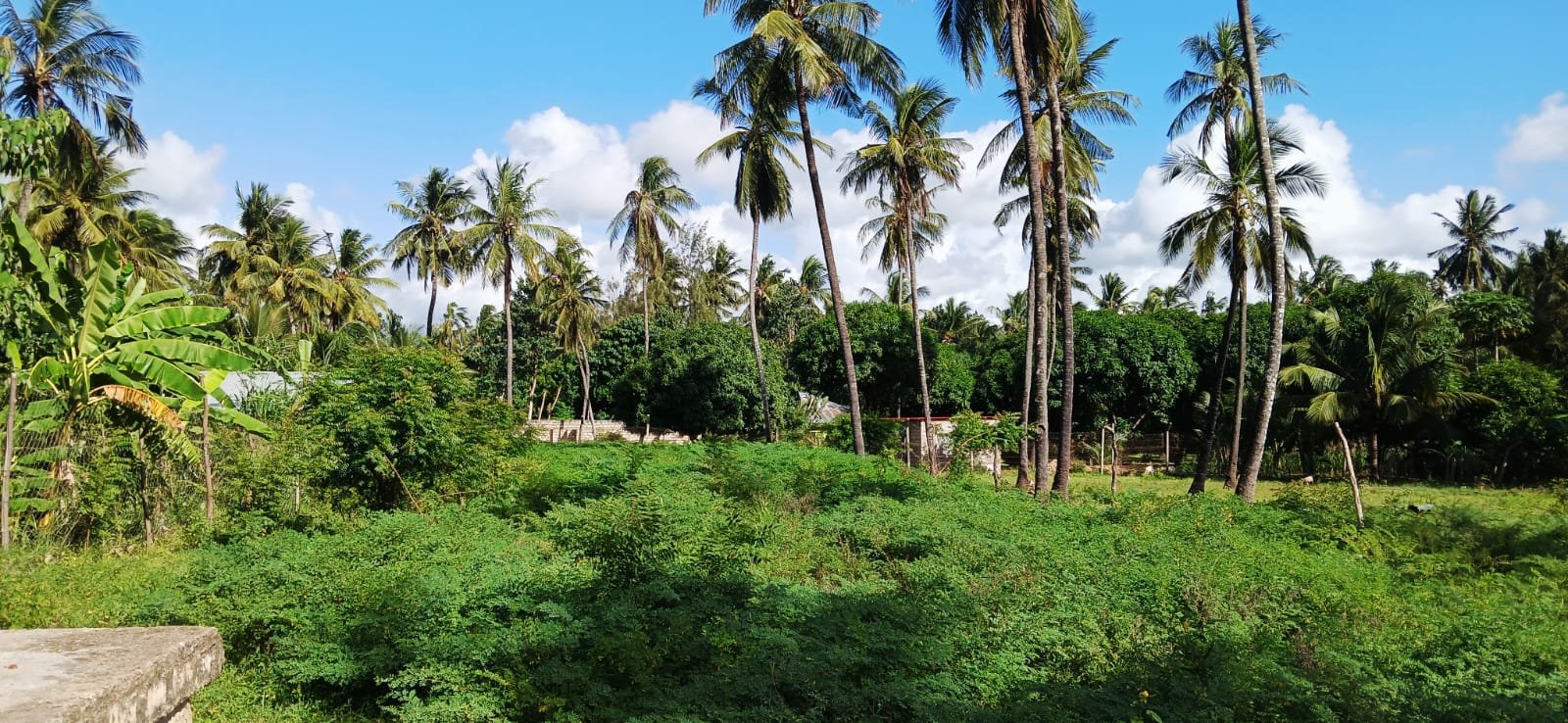 🔥 Prime 0.42-Acre Investment Land for Sale in Kijiwetanga, Malindi