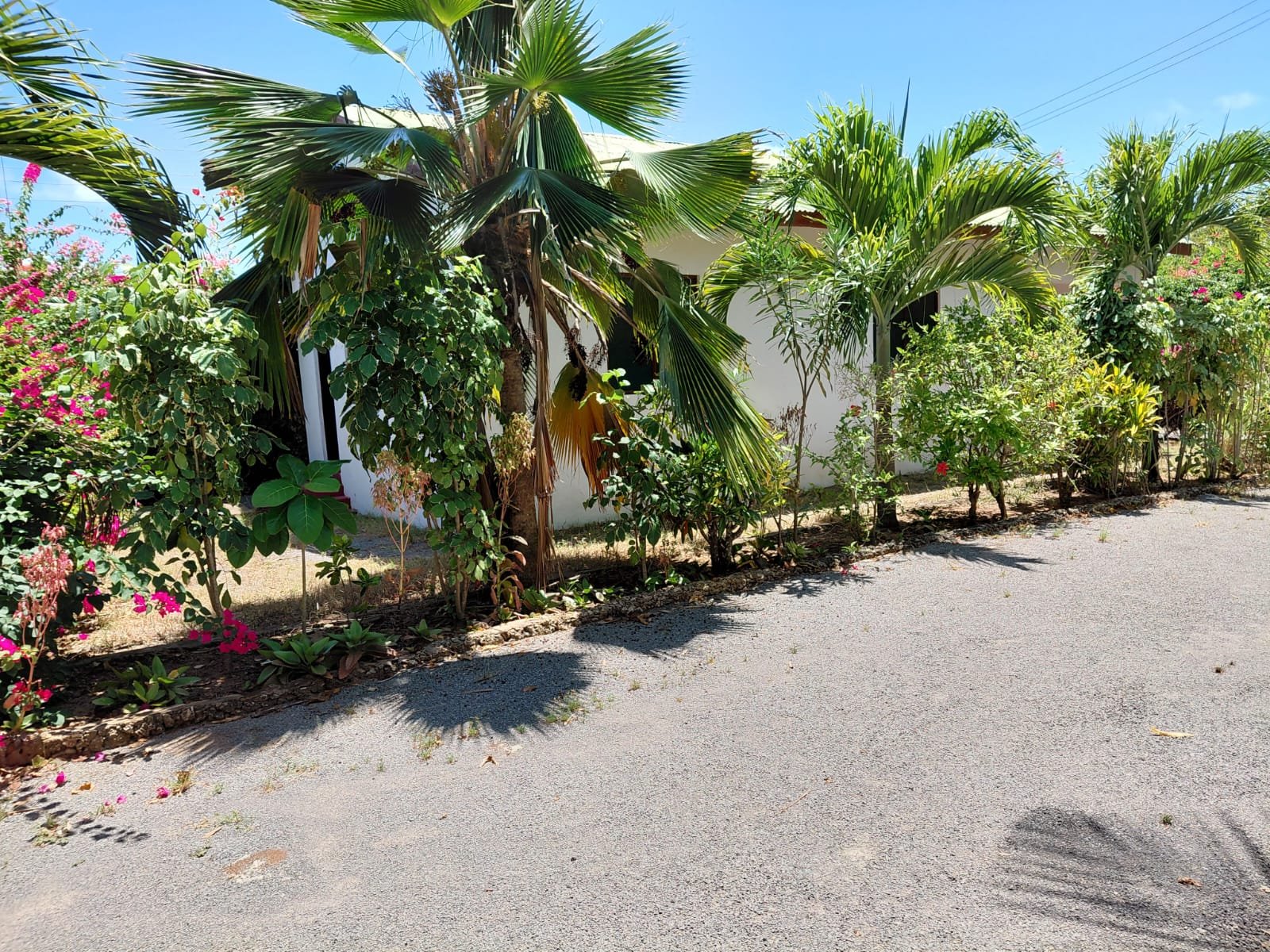 Spacious 3-Bedroom Home on ½ Acre Near the Beach in Watamu - property image 3