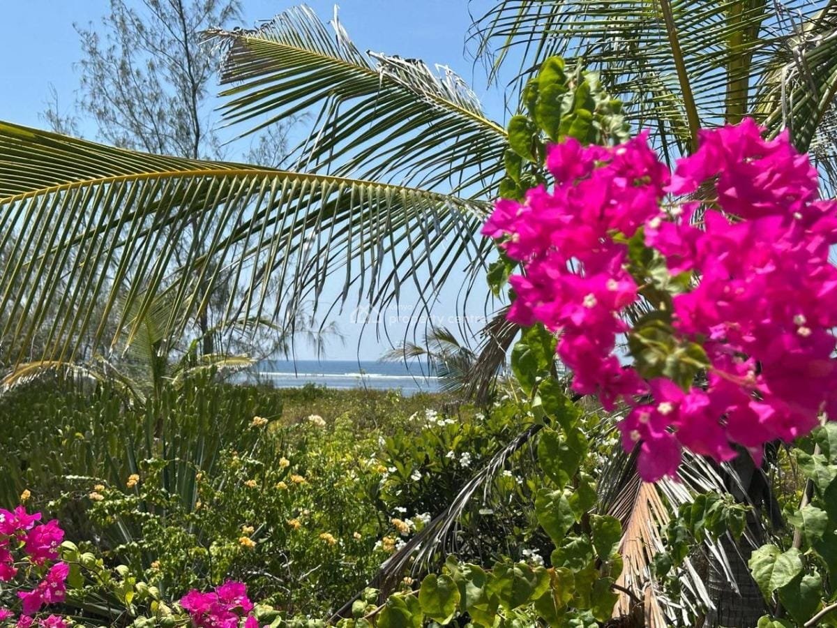 Exclusive 4-Bedroom Beachfront Home on 4 Acres in Watamu - property image 3