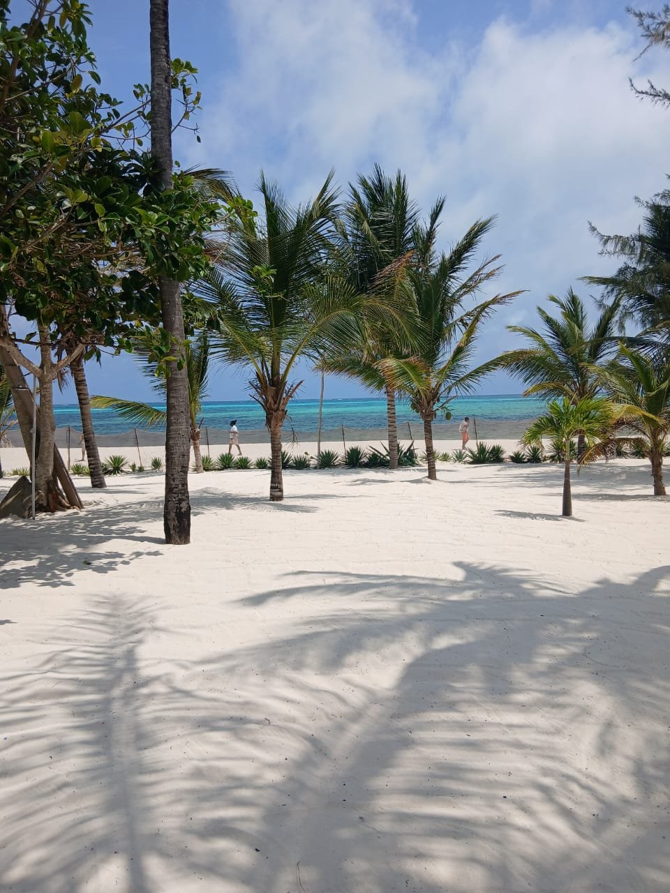 Prime 5-Acre Property with 2-Bedroom House for Sale Near Jumbo Hotel, Watamu