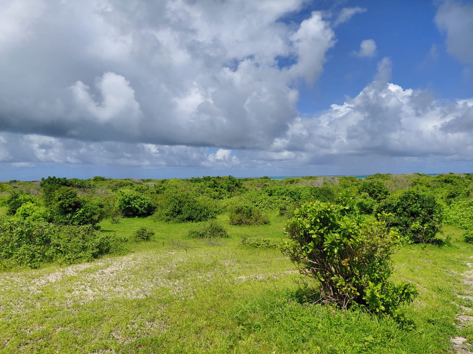 Prime 12-Acre Land Opportunity Near the Beach in Watamu - property image 4