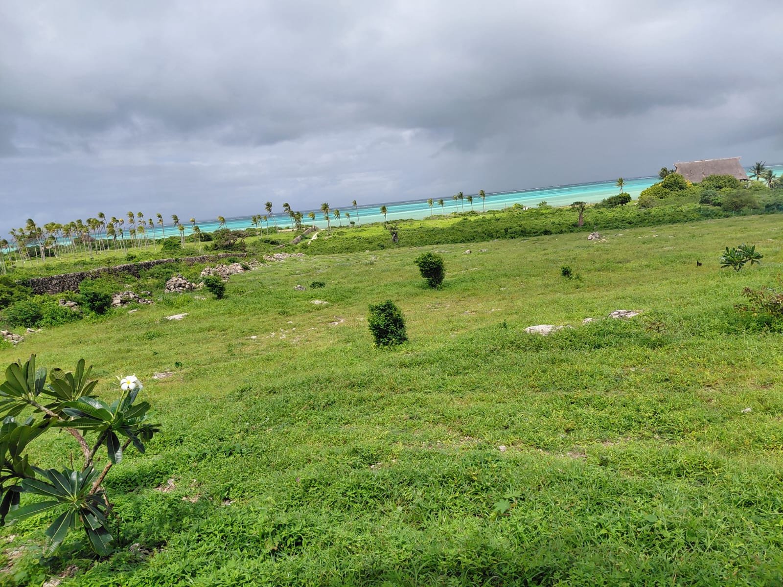 Prime 12-Acre Land Opportunity Near the Beach in Watamu - property image 3