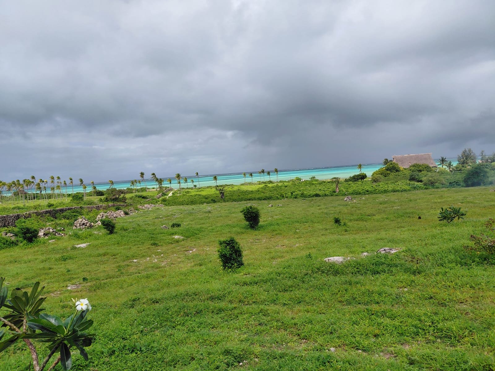 Prime 12-Acre Land Opportunity Near the Beach in Watamu - property image 2