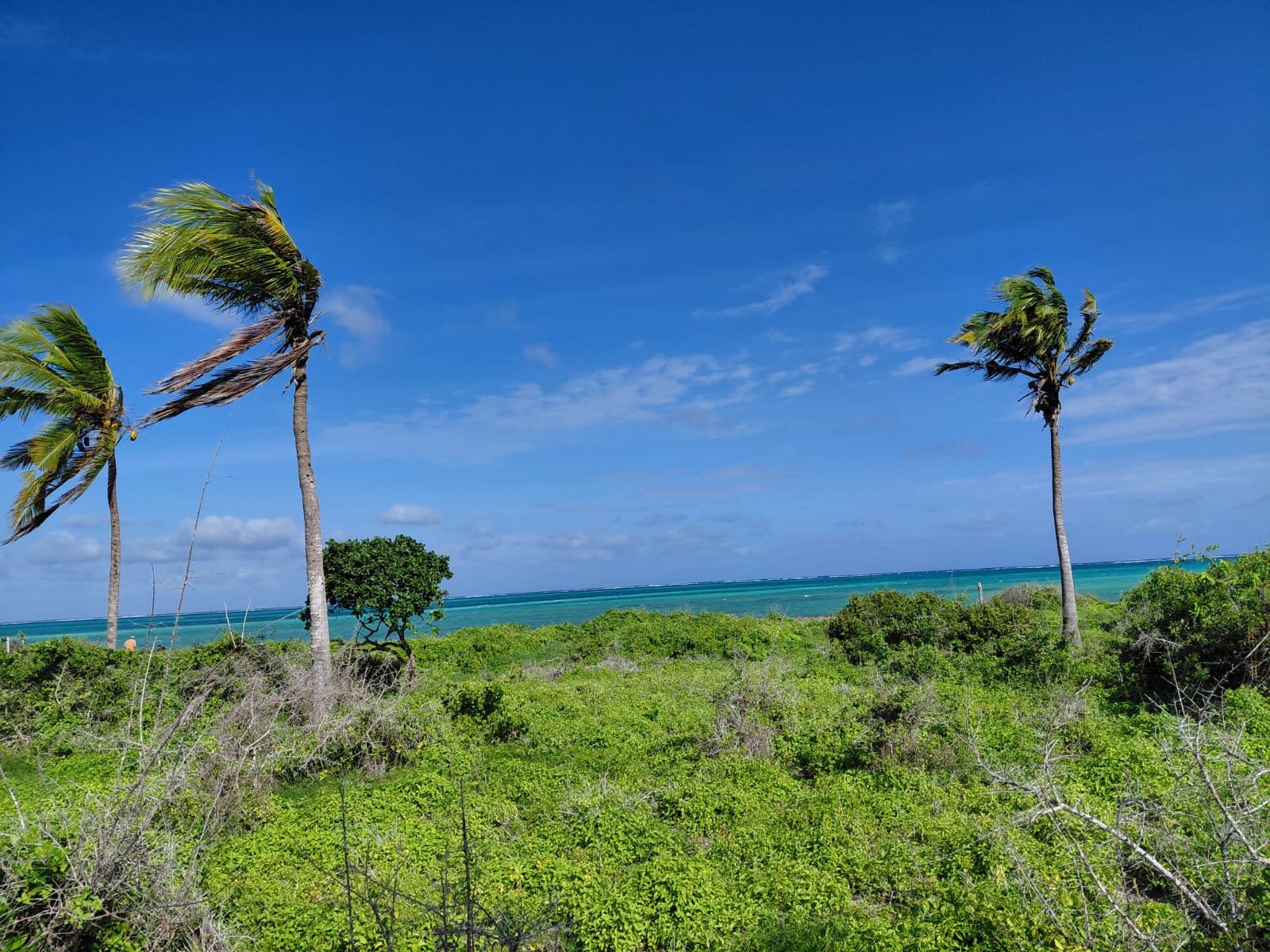 Prime 12-Acre Land Opportunity Near the Beach in Watamu