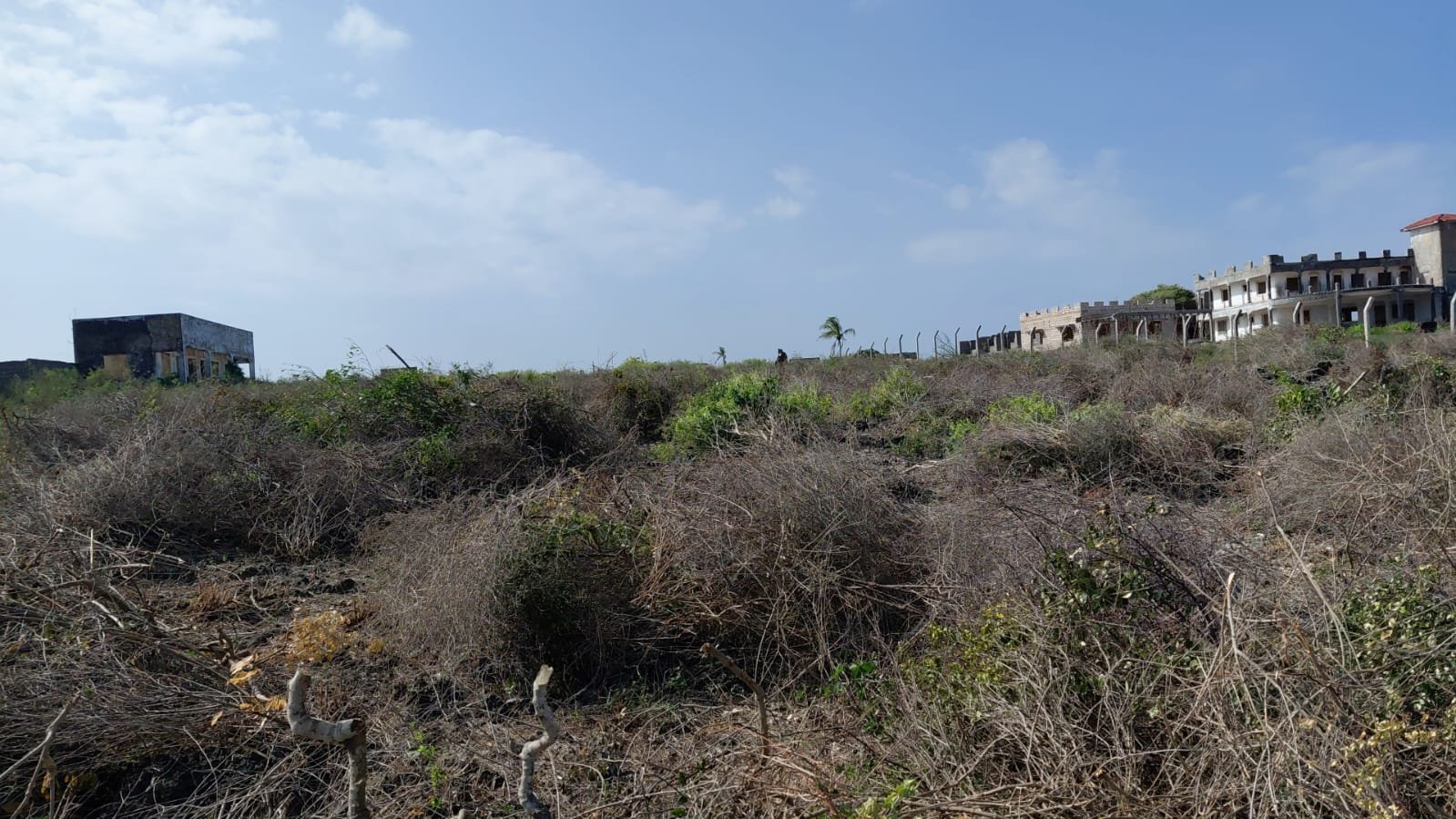 Prime 1-Acre Beachfront Land for Sale in Watamu - property image 5