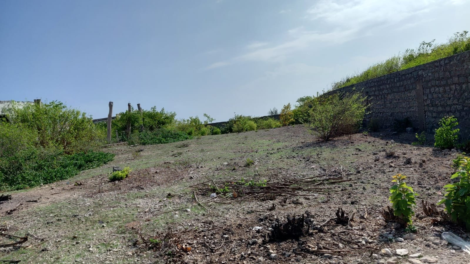 Prime 1-Acre Beachfront Land for Sale in Watamu
