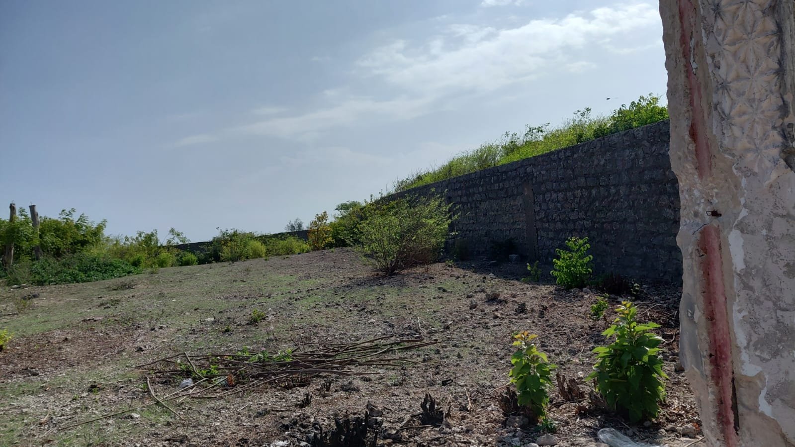 Prime 1-Acre Beachfront Land for Sale in Watamu - property image 3