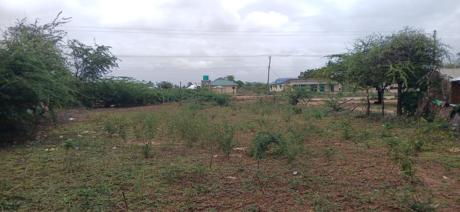 Prime 50x200 Road-Front Land for Sale in Marereni Along Lamu Road - property image 4
