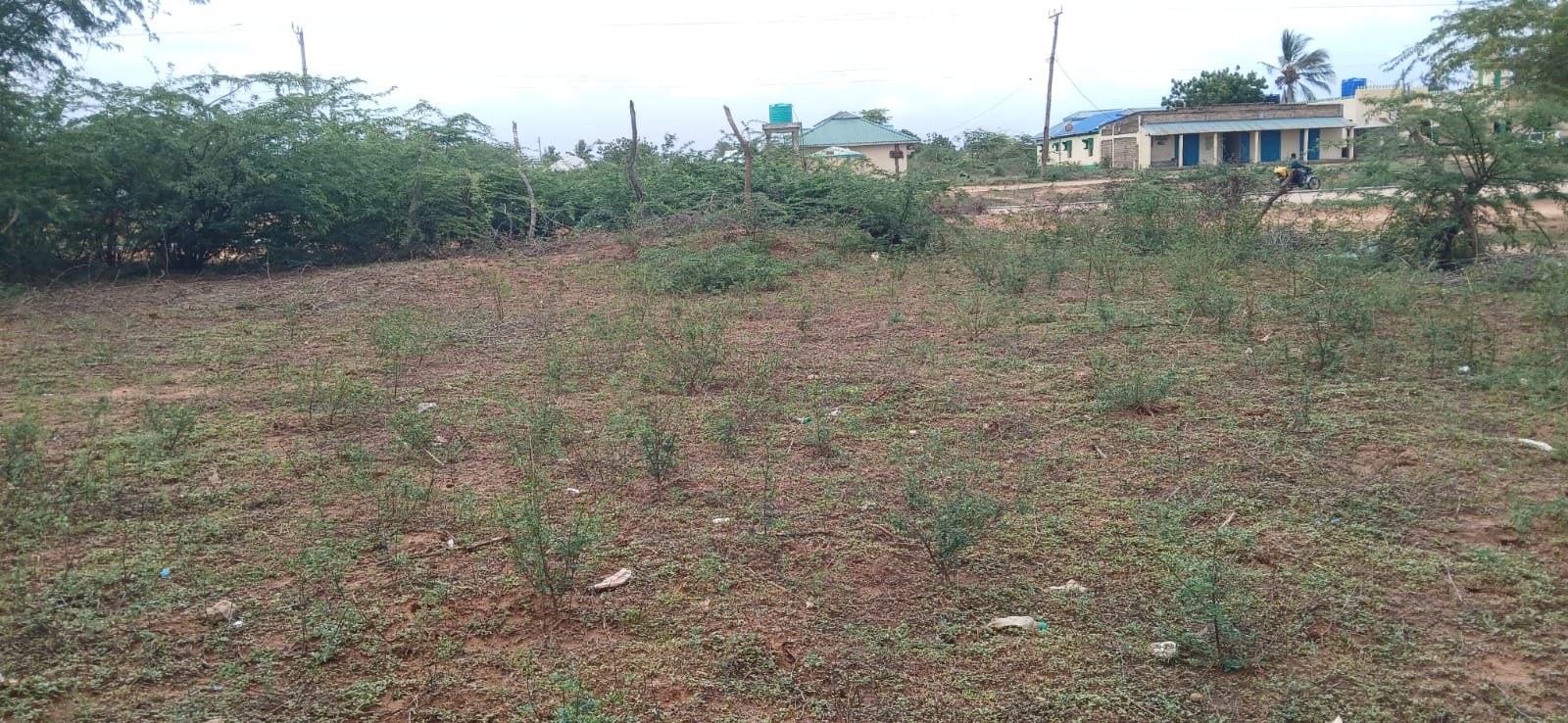 Prime 50x200 Road-Front Land for Sale in Marereni Along Lamu Road - property image 3