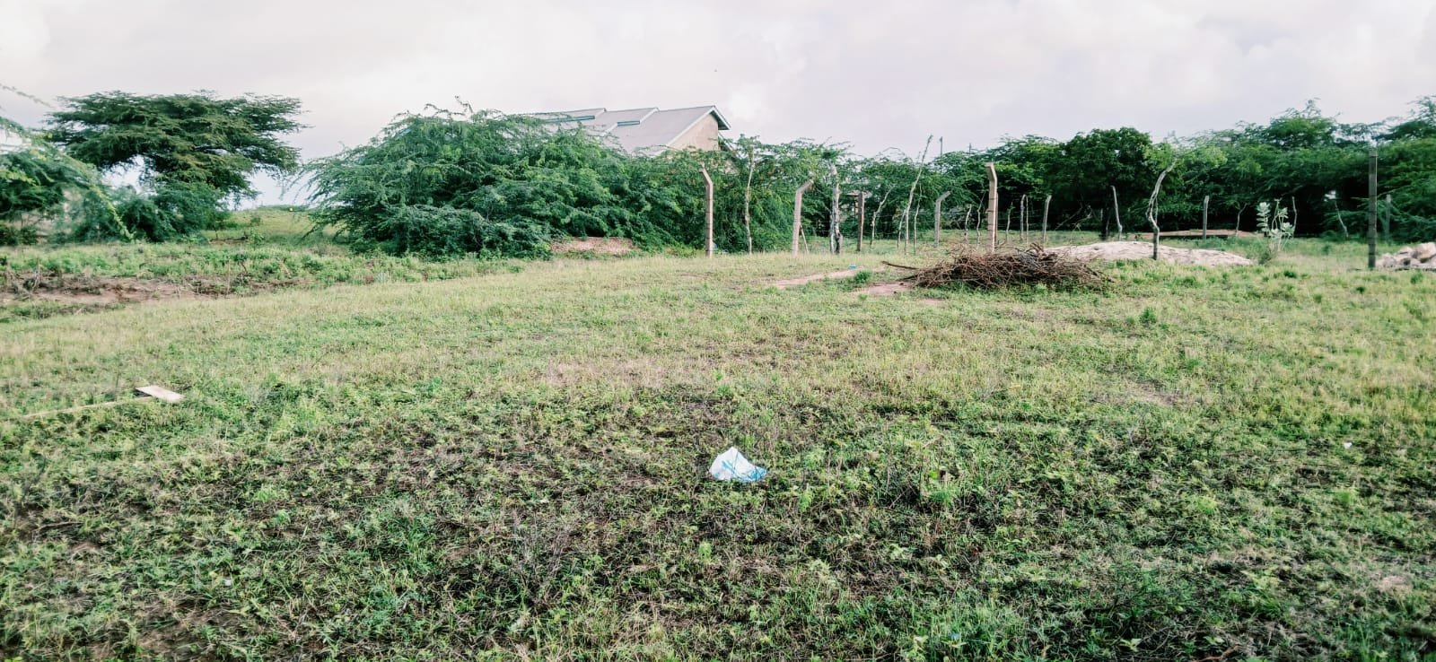 Affordable 45x100 Plot for Sale in Marereni – KES 300,000 Quick Sale Offer - property image 2
