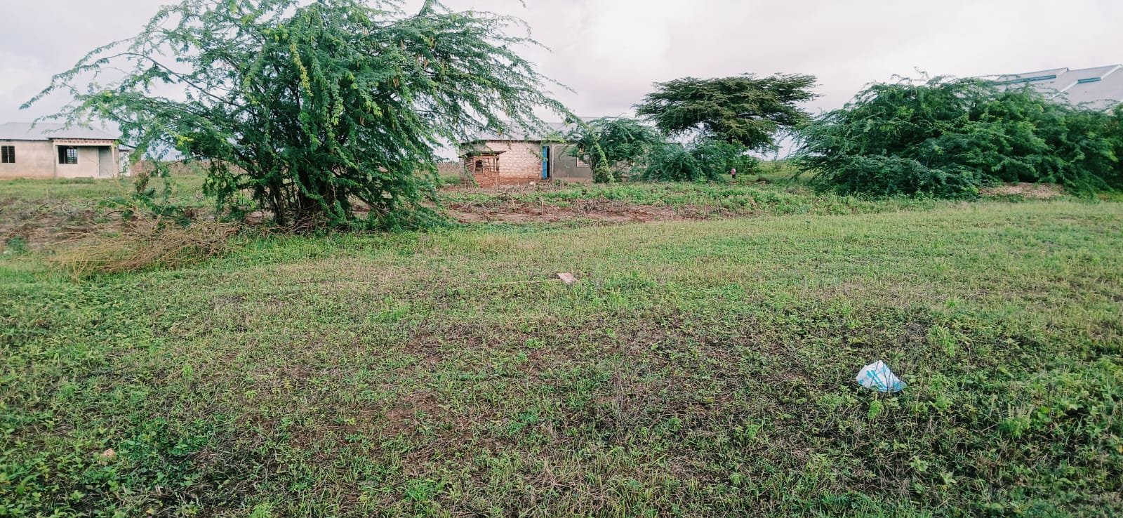 Affordable 45x100 Plot for Sale in Marereni – KES 300,000 Quick Sale Offer - property image 4
