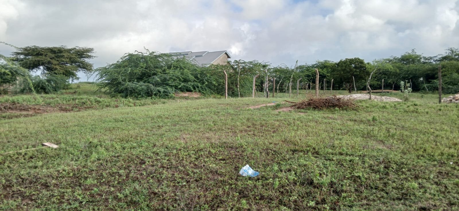 Affordable 45x100 Plot for Sale in Marereni – KES 300,000 Quick Sale Offer - property image 3