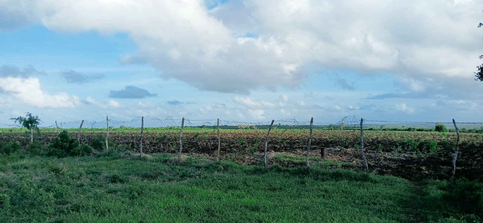 70 Acres Prime Agricultural & Investment Land for Sale in Bora Iman-Muungano - property image 3