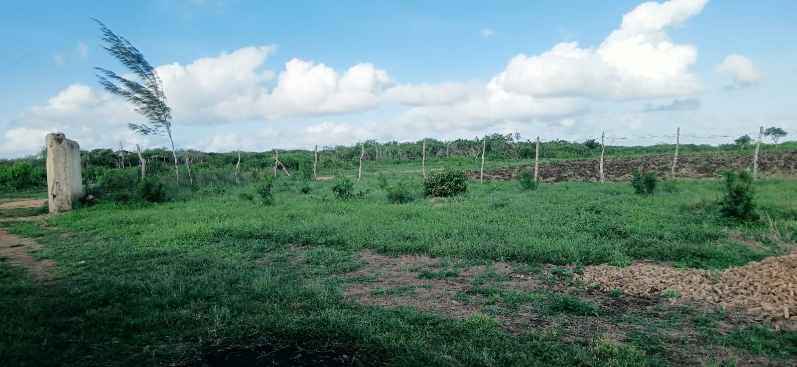 70 Acres Prime Agricultural & Investment Land for Sale in Bora Iman-Muungano - property image 5