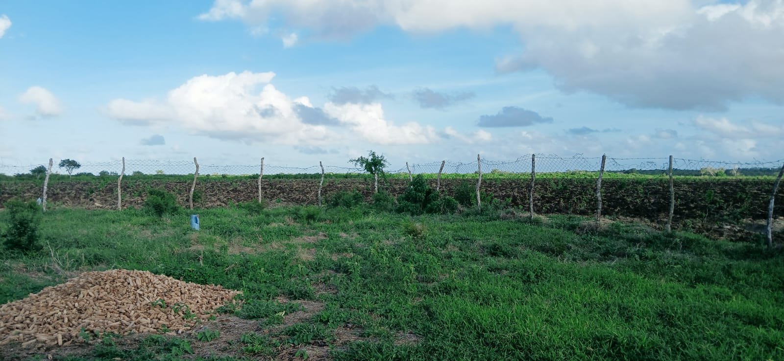 70 Acres Prime Agricultural & Investment Land for Sale in Bora Iman-Muungano - property image 4
