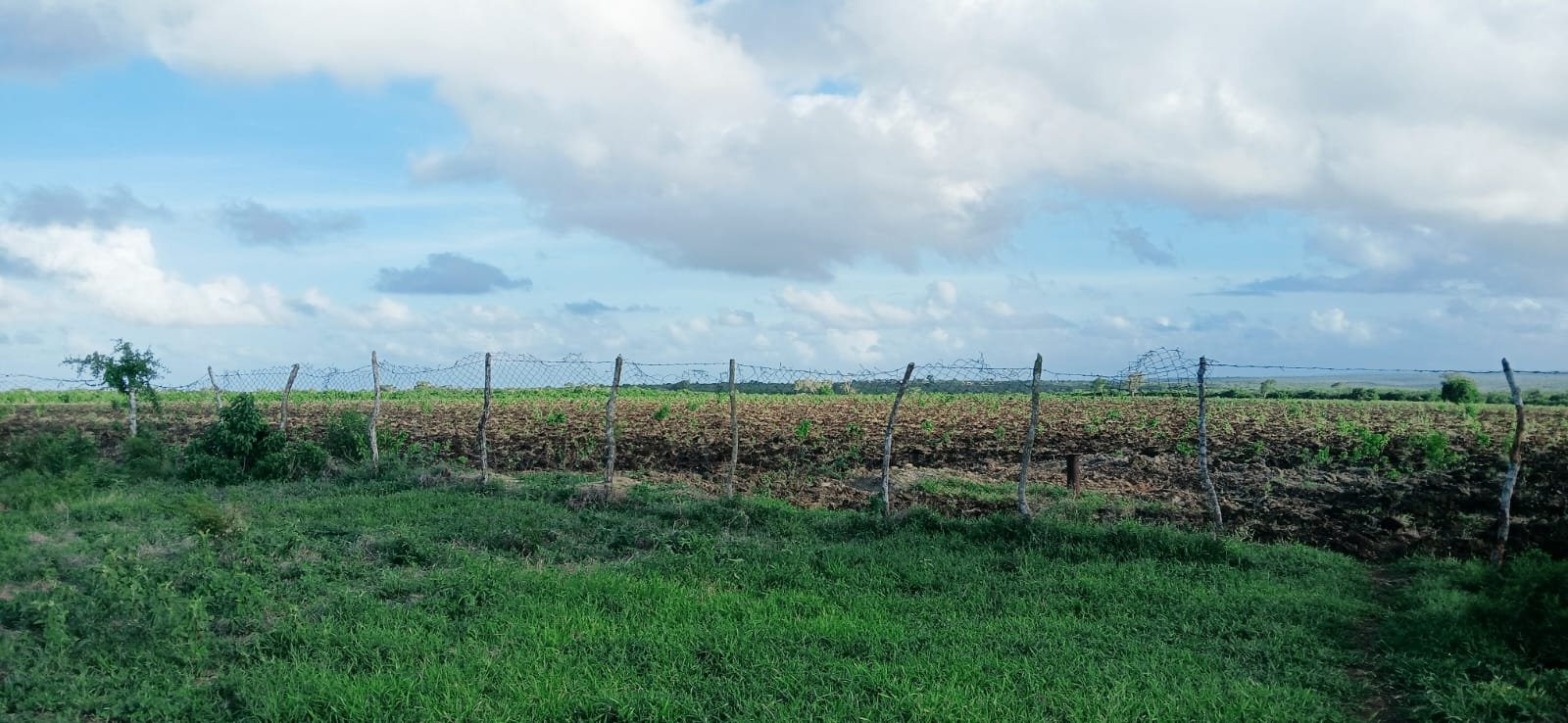 70 Acres Prime Agricultural & Investment Land for Sale in Bora Iman-Muungano - property image 2