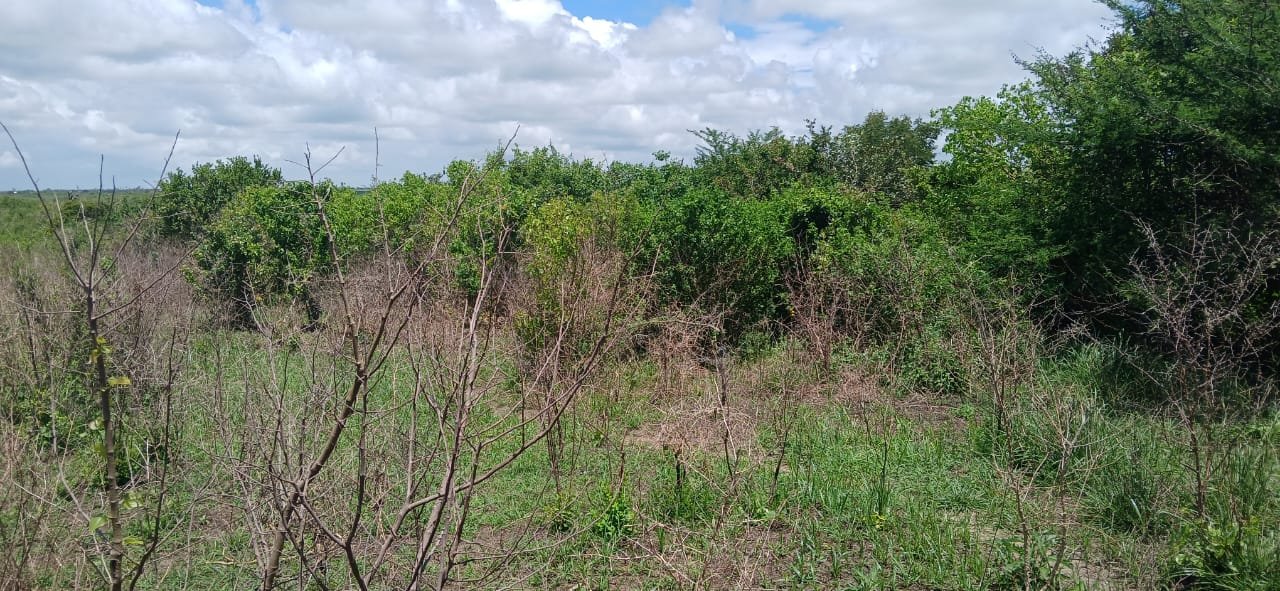 10 Acres of Land for Sale in Shaurimoyo, Magarini - property image 5