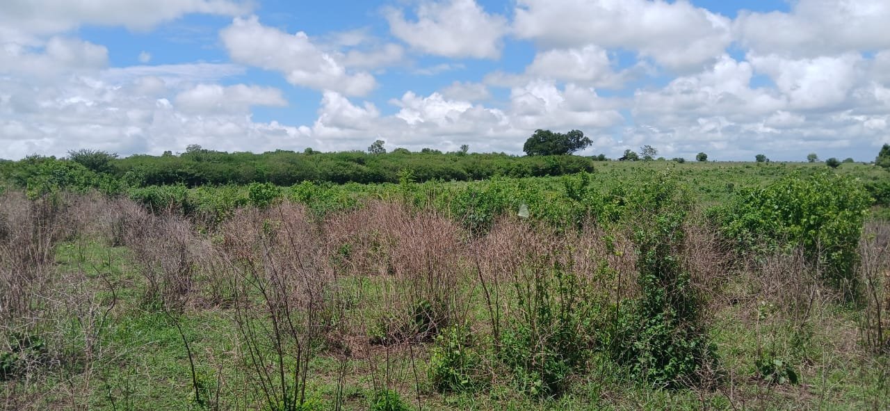 10 Acres of Land for Sale in Shaurimoyo, Magarini - property image 3