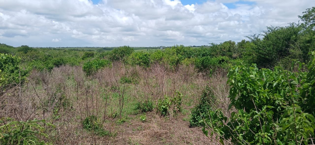 10 Acres of Land for Sale in Shaurimoyo, Magarini