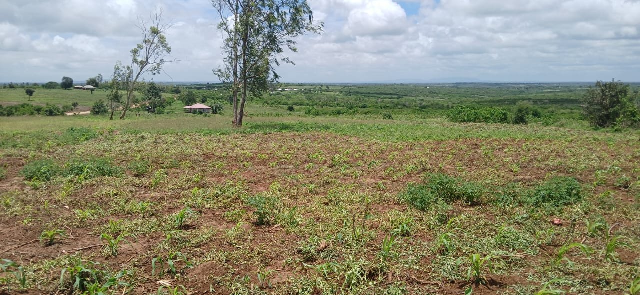 5 Acres of Investment Land for Sale in Magarini- Shurimoyo - property image 5