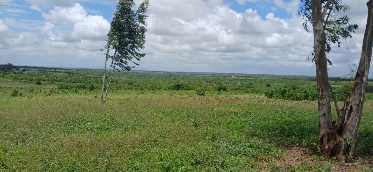 5 Acres of Investment Land for Sale in Magarini- Shurimoyo - property image 2