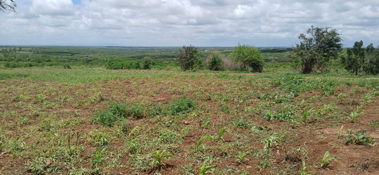 5 Acres of Investment Land for Sale in Magarini- Shurimoyo - property image 4