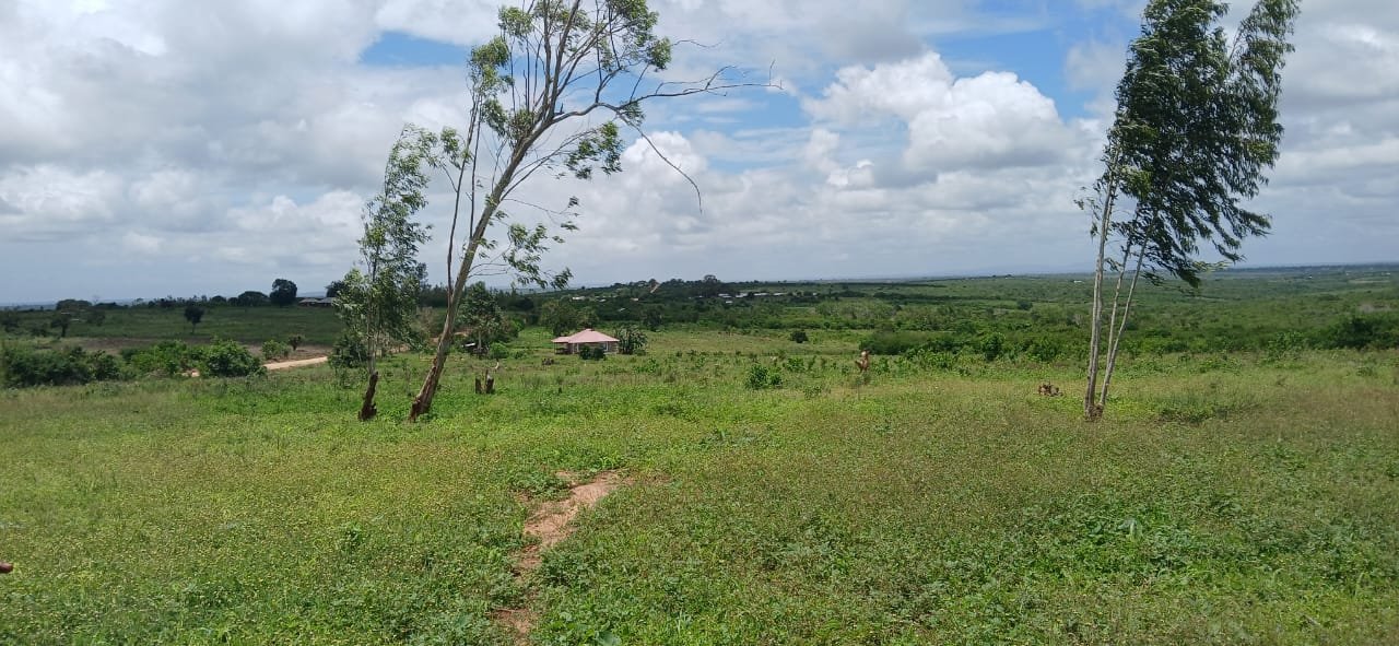 5 Acres of Investment Land for Sale in Magarini- Shurimoyo