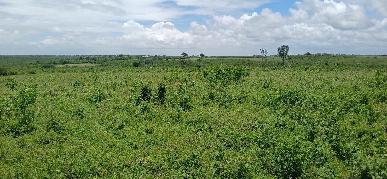 10 Acres for Sale in Shaurimoyo, Magarini - property image 3