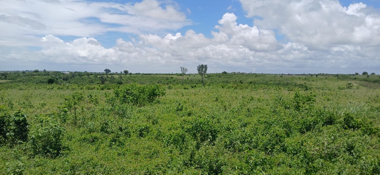 10 Acres for Sale in Shaurimoyo, Magarini - property image 5