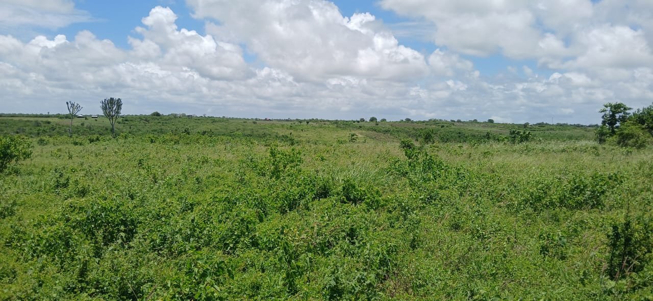 10 Acres for Sale in Shaurimoyo, Magarini - property image 4