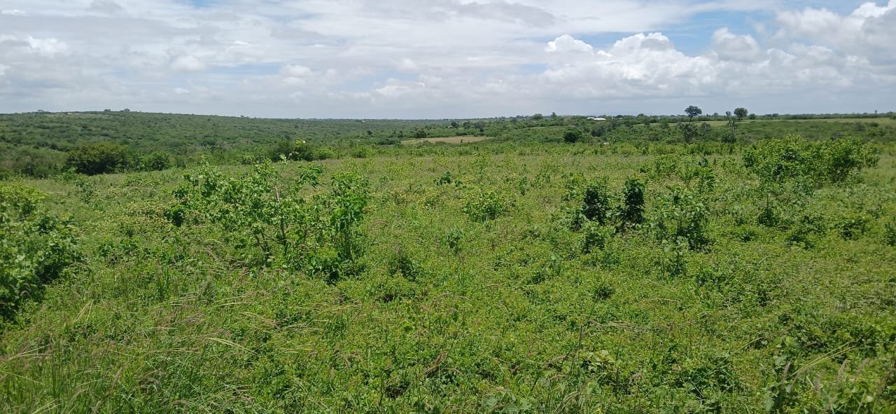 10 Acres for Sale in Shaurimoyo, Magarini - property image 2