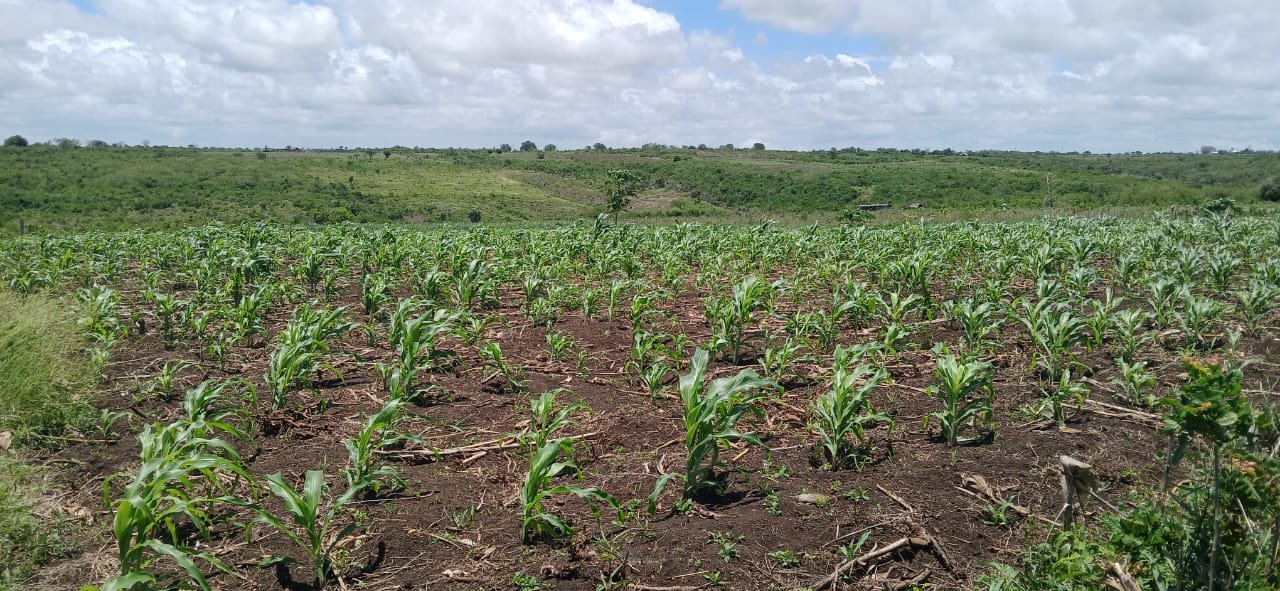 10 Acres for Sale in Shaurimoyo, Magarini