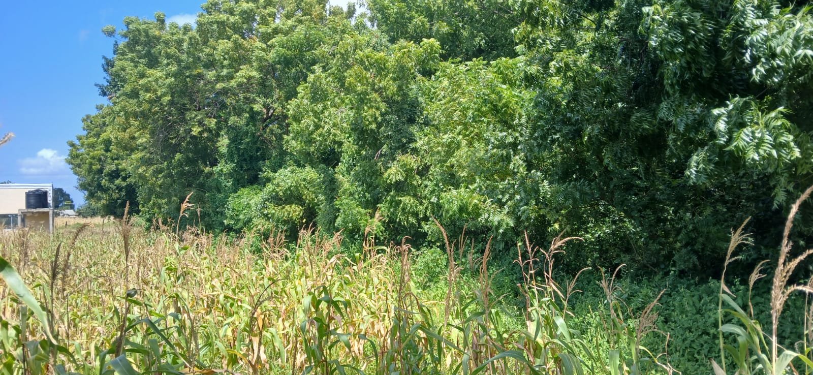 3 Acres of Prime Land for Sale in Malindi Kwa Ndomo - property image 2