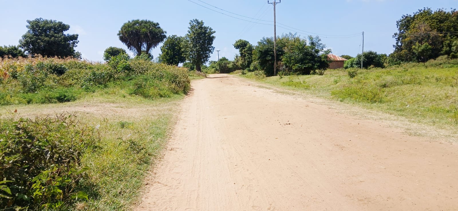 3 Acres of Prime Land for Sale in Malindi Kwa Ndomo - property image 3