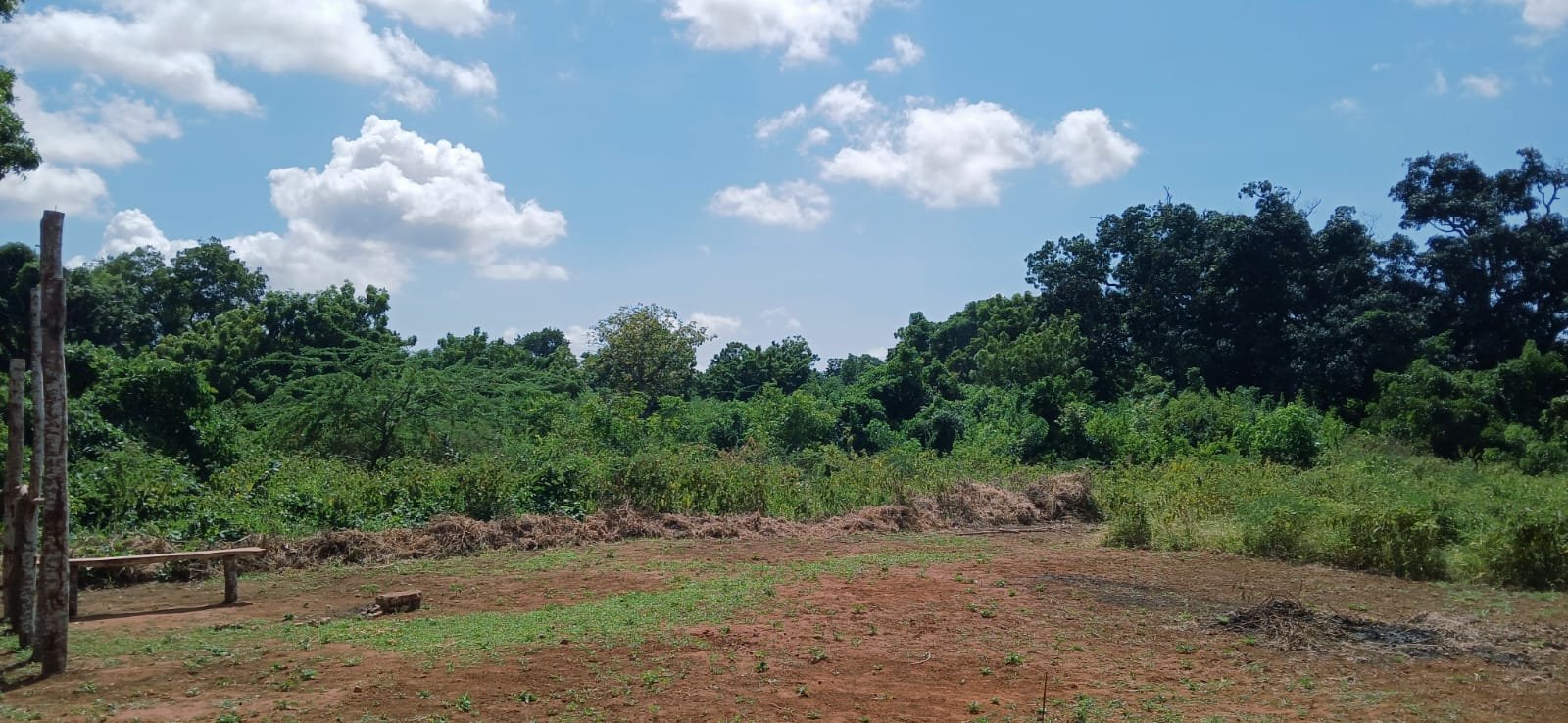 3 Acres of Prime Land for Sale in Malindi Kwa Ndomo