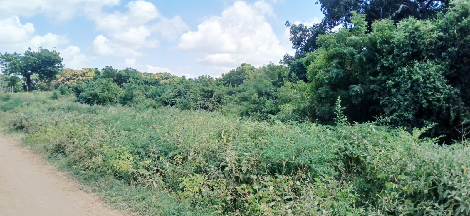3 Acres of Prime Land for Sale in Malindi Kwa Ndomo - property image 5