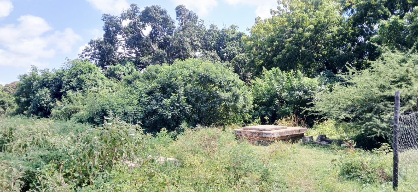 3 Acres of Prime Land for Sale in Malindi Kwa Ndomo - property image 4