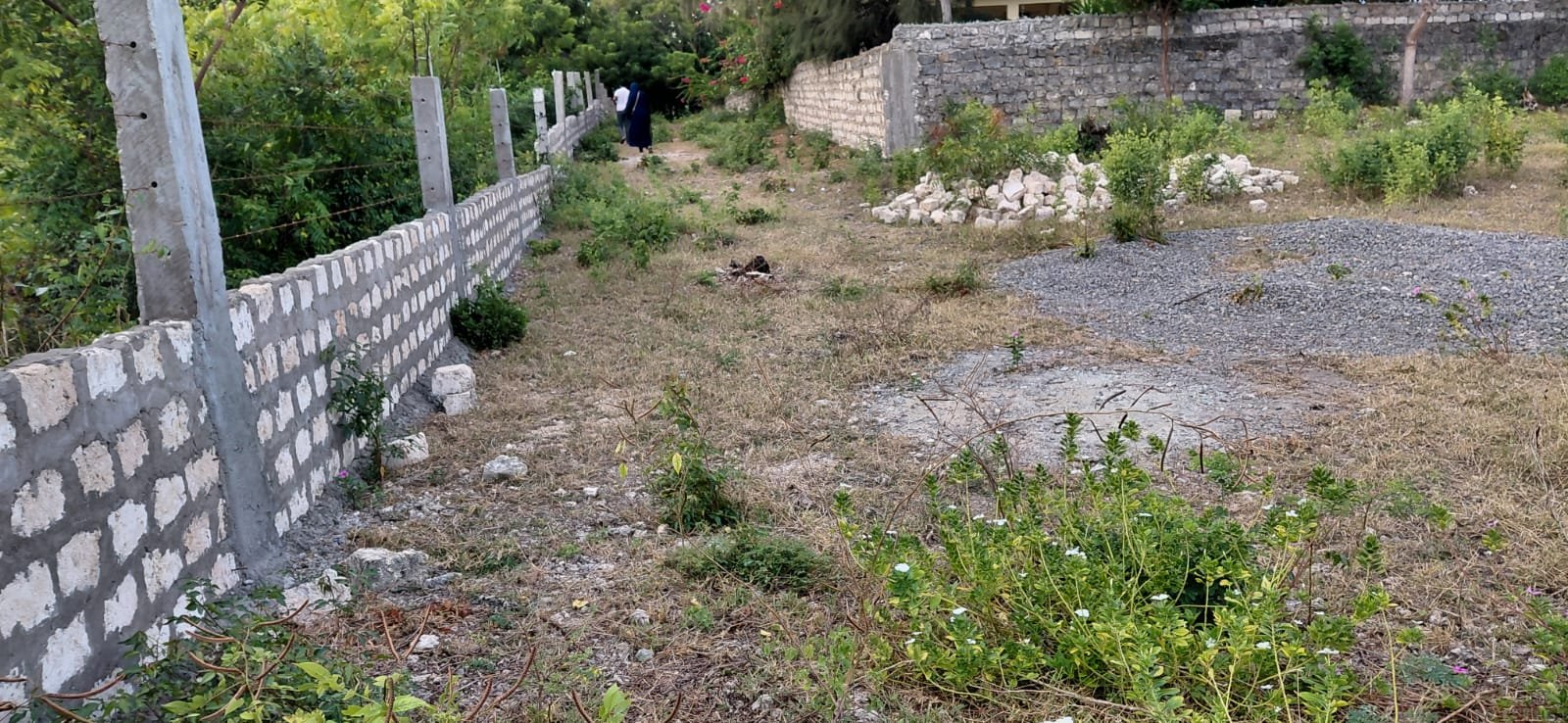 Prime 2.5-Acre Land Near Turtle Bay, Watamu - property image 3