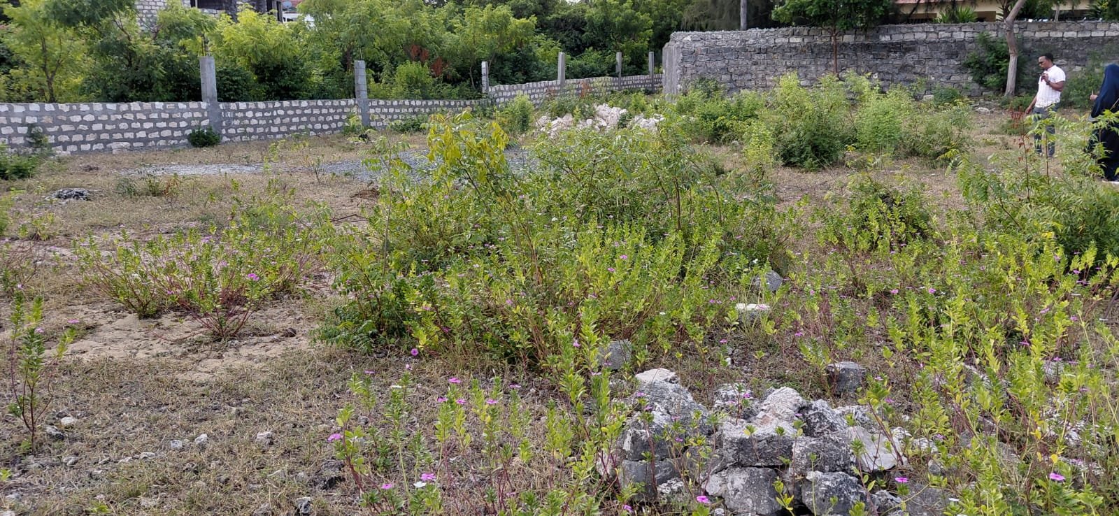 Prime 2.5-Acre Land Near Turtle Bay, Watamu - property image 5