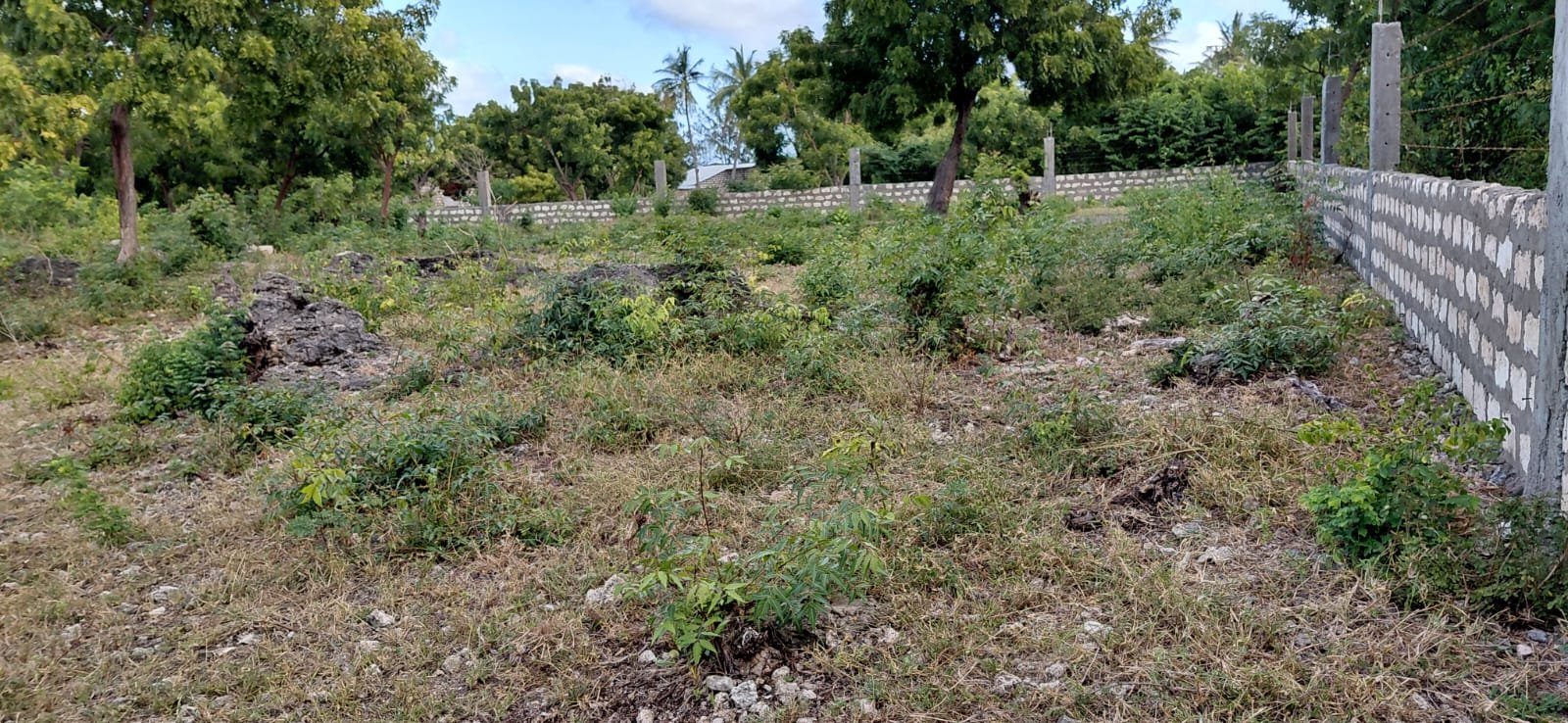 Prime 2.5-Acre Land Near Turtle Bay, Watamu