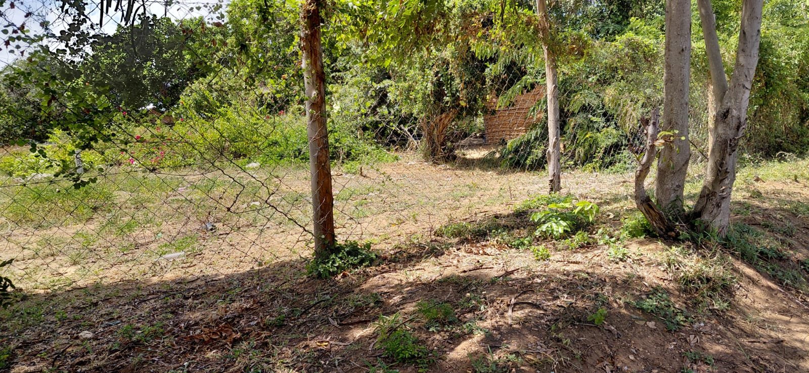 Prime 1-Acre Roadside Land for Sale on Gede–Watamu Road in Along Gede-Watamu road, Watamu, Kilifi - property image 5
